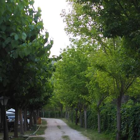 Moli L'abad Puebla de Benifasar