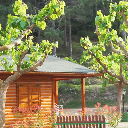 Campsite Moli L'abad