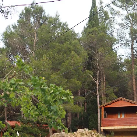 Campsite Moli L'abad Puebla de Benifasar