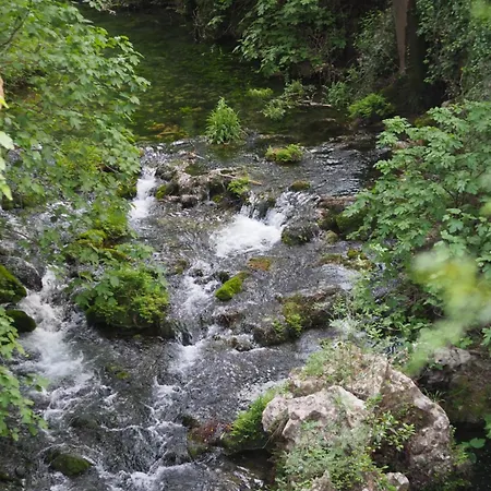 Moli L'abad Campsite